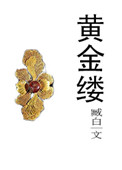 黄金缕小说简介